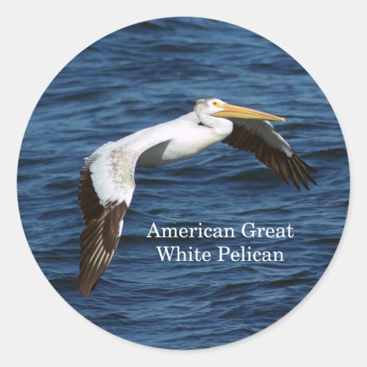 Autocollant American Great White Pélican (Devant)