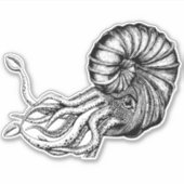 Autocollant ammonite (Devant)
