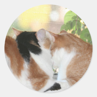 Autocollant amour Kitty