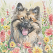 Autocollant aquarelle Keeshond (Devant)