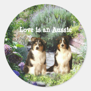 Autocollant australien de jardin de berger