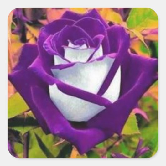 Autocollant avec un rose pourpre et blanc (Devant)