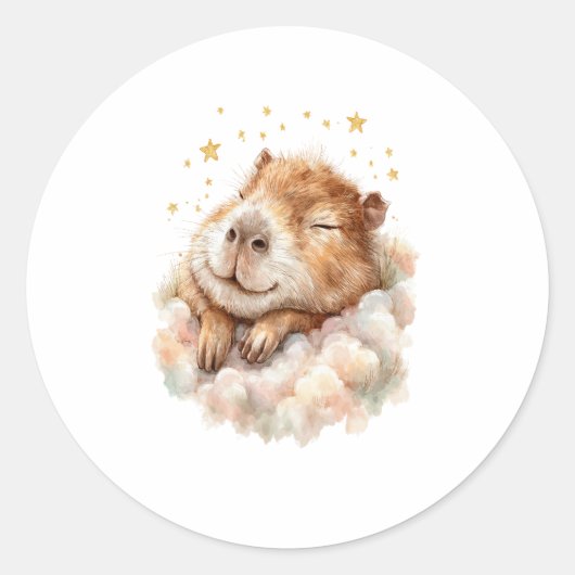 Autocollant Baby Shower Garçon • Capybara Mignon (Devant)