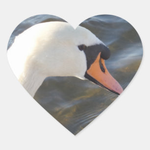 Autocollant blanc de coeur de cygne