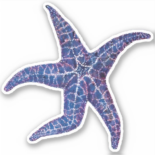 Autocollant bleu à contours de poisson étoilé (Devant)