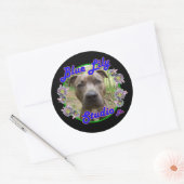 Autocollant Blue Lily Studio (Enveloppe)