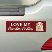 Autocollant Border Collie (En voiture)