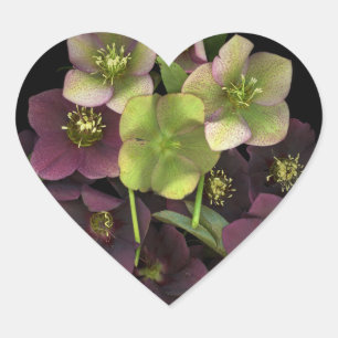 Autocollant botanique en forme de cœur Fleurs d'he