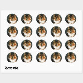 Autocollant Calico Kitten (Feuille)