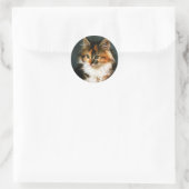 Autocollant Calico Kitten (Sac)
