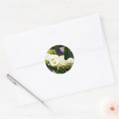 autocollant calla lily (Enveloppe)