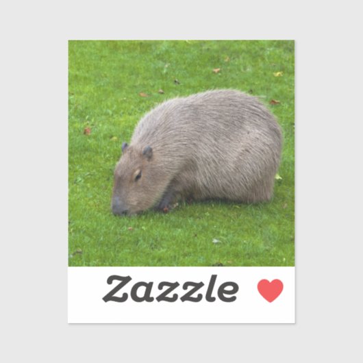 Autocollant Capybara (Feuille)