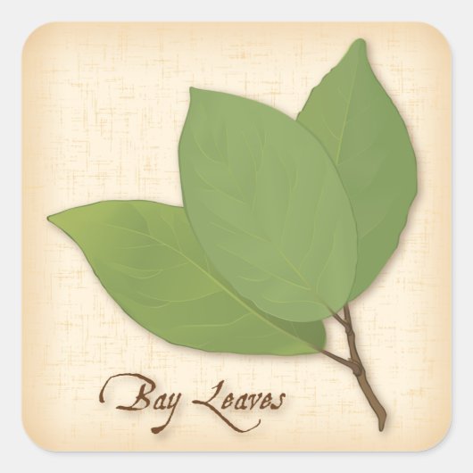 Autocollant Carré Feuille Bay (Devant)