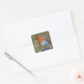 Autocollant Carré Robin (Enveloppe)
