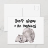 Autocollant / Carte Postale de Chat Drôle (Devant / Derrière)