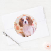 Autocollant Cavalier King Charles Spaniel Blenheim (Enveloppe)