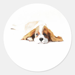 Autocollant Cavalier King Dog, Cadeau Mignon