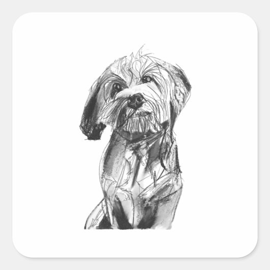 Autocollant Cavapoo, Illustration pour amateur de (Devant)