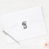 Autocollant Cavapoo, Illustration pour amateur de (Enveloppe)