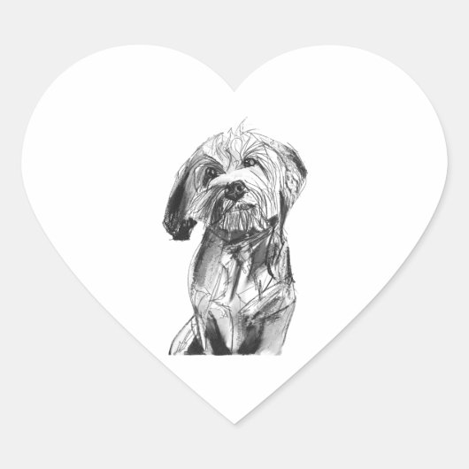 Autocollant Cavapoo, Illustration pour amateur de (Devant)
