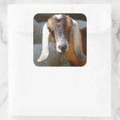 autocollant chèvre 2 (Sac)