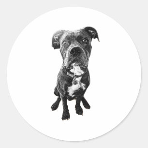 Autocollant Chien Assis – Pose Réaliste Noir & Bla