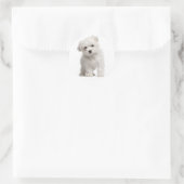 Autocollant Chien Chien Chien Chien Blanc Maltais  (Sac)