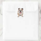 Autocollant Chien Chien Chien Chien Chien Chien Ch (Sac)