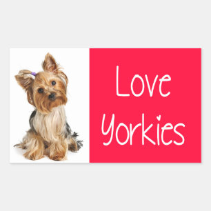 Autocollant Chien Chiots Yorkshire Terrier Yorkies