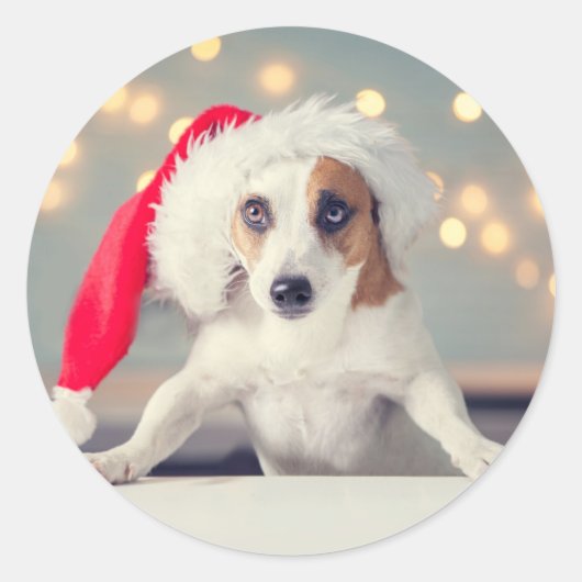 Autocollant CHIEN DE NOËL avec chapeau de Père Noë (Devant)