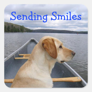 Autocollant Chien Labrador Retriever Sourires