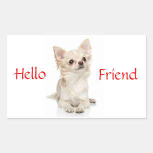 Autocollant Chihuahua aux Cheveux Longs Bonjour l'