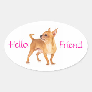 Autocollant Chihuahua Bonjour l'ami
