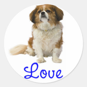 Autocollant Chiot Cavalier King Charles Spaniel