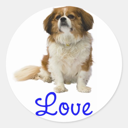 Autocollant Chiot Cavalier King Charles Spaniel (Devant)