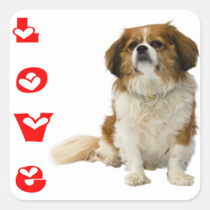 Autocollant Chiot Cavalier King Charles Spaniel