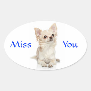 Autocollant chiot chihuahua Miss You