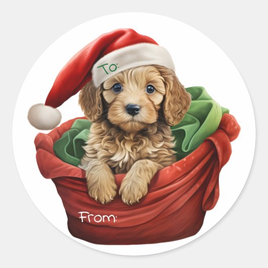 Autocollant chiot Cockapoo Noël (Devant)