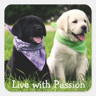 Autocollant chiot Labrador Retriever Vivre avec pa
