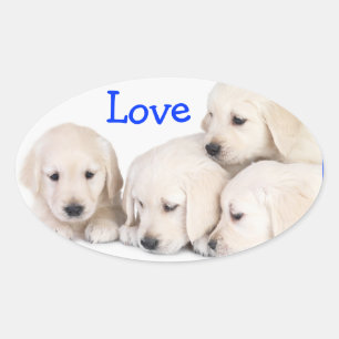 Autocollant Chiots Labrador Retriever Amour
