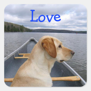 Autocollant Chiots Labrador Retriever Amour