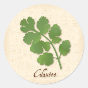Autocollant Cilantro
