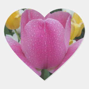 Autocollant Coeur rose Tulipe