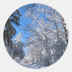 Autocollant collant de ~ de la neige 35