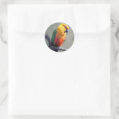 Autocollant Conure de Jenday (Sac)