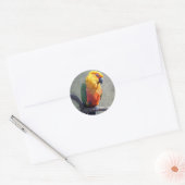 Autocollant Conure de Jenday (Enveloppe)