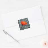 Autocollant Coquelicot (Enveloppe)