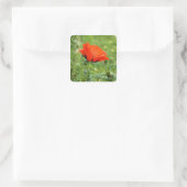 Autocollant Coquelicot (Sac)
