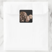 Autocollant Cowrie Cones (Sac)