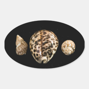Autocollant Cowrie Cones 2